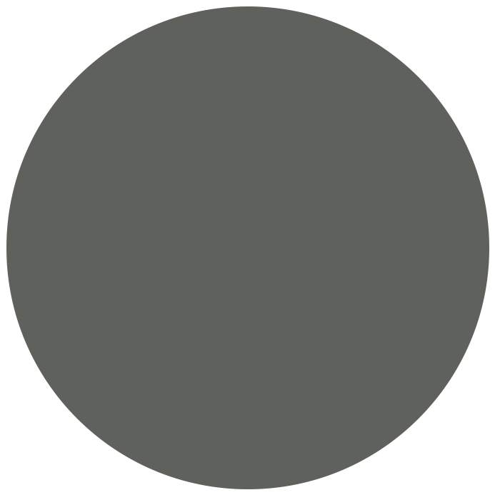 Colorbond Basalt® Matt finish