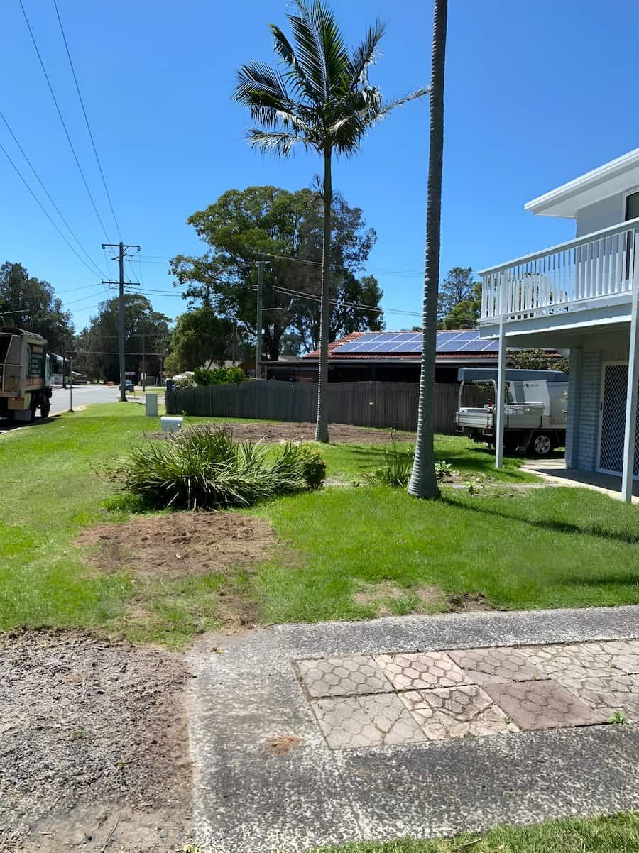 A House With A Lot Of Grass And A Palm Tree In Front Of It — All Area Tree Service Pty Ltd In Wyee, NSW