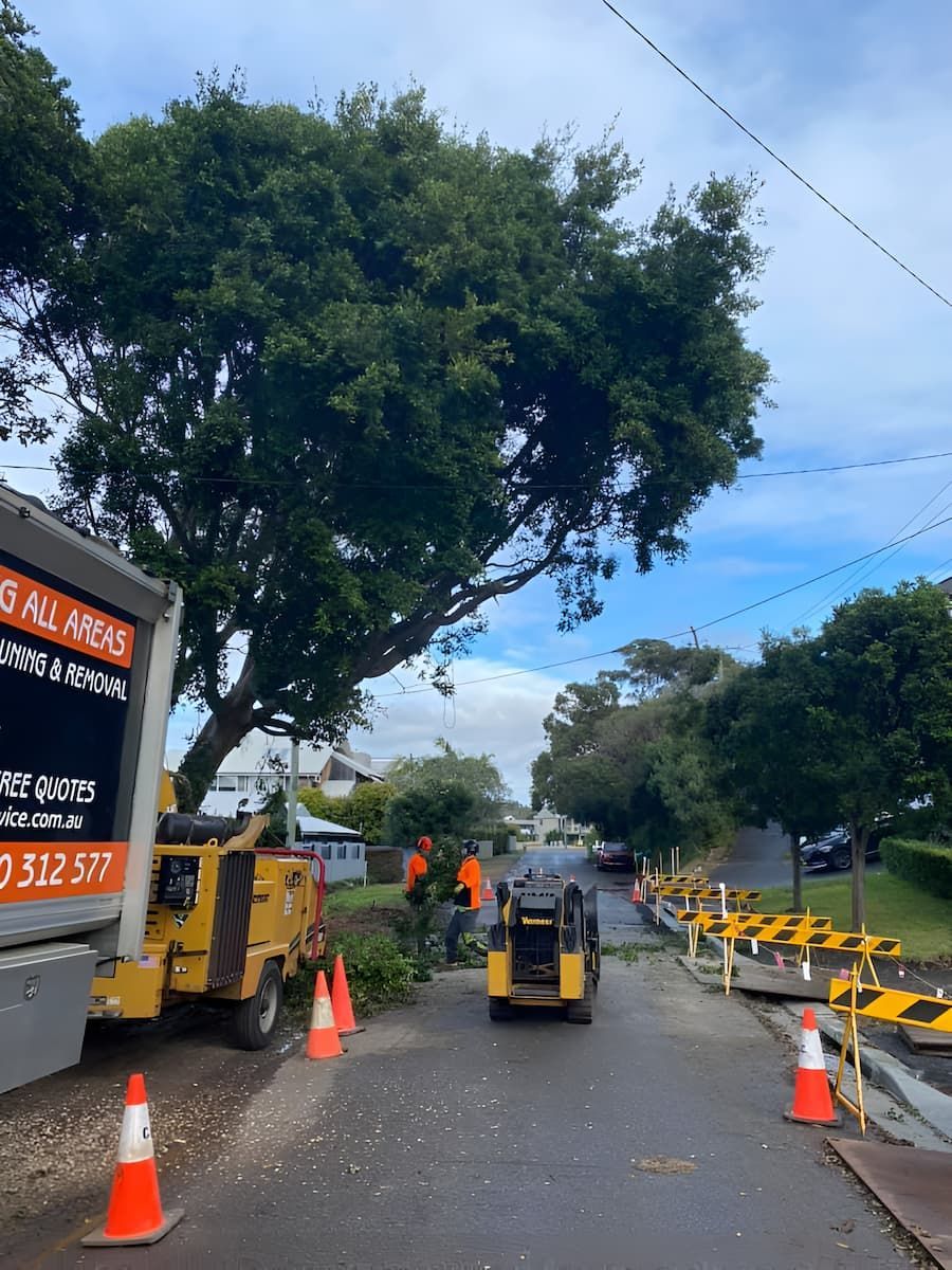 A Tree Is Being Cut Down On The Side Of A Road — All Area Tree Service Pty Ltd In Fountaindale, NSW
