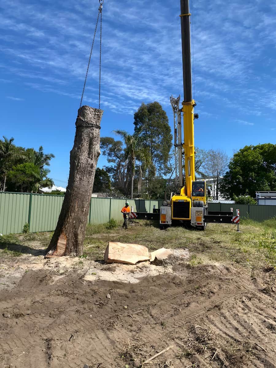 A Crane Is Lifting A Tree Stump In A Dirt Field — All Area Tree Service Pty Ltd In Hornsby, NSW