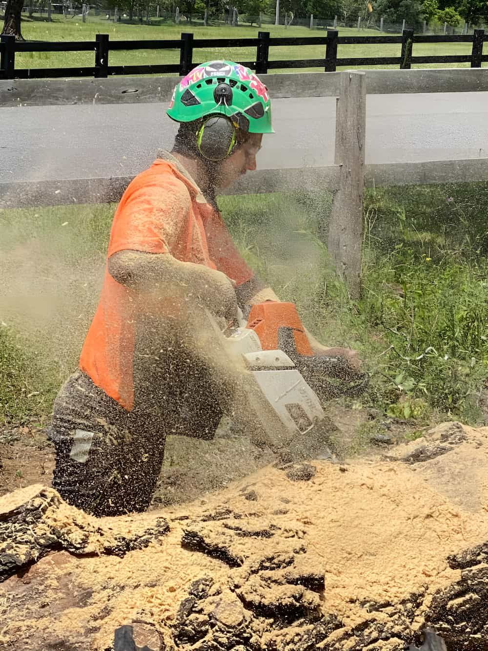 A Man Is Cutting A Tree With A Chainsaw — All Area Tree Service Pty Ltd In Fountaindale, NSW