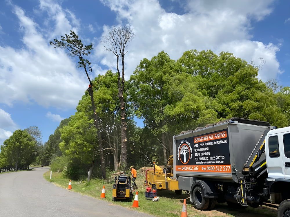 A Truck Is Parked On The Side Of The Road Next To A Tree — All Area Tree Service Pty Ltd In Fountaindale, NSW