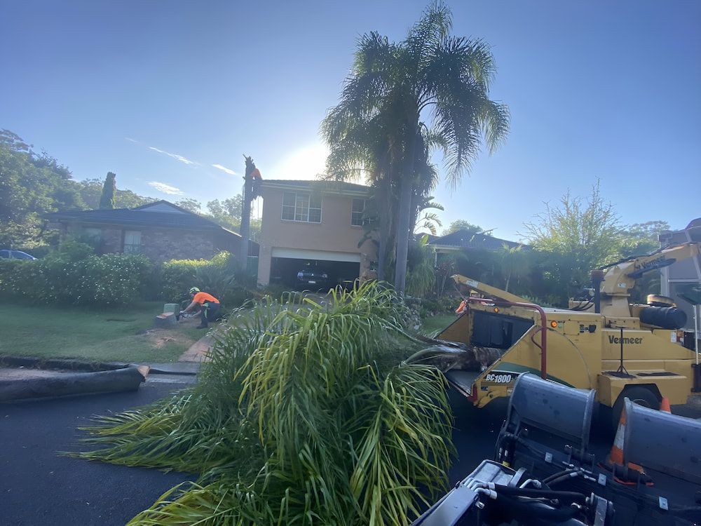 A Tree Is Being Cut Down By A Machine In Front Of A House — All Area Tree Service Pty Ltd In Fountaindale, NSW