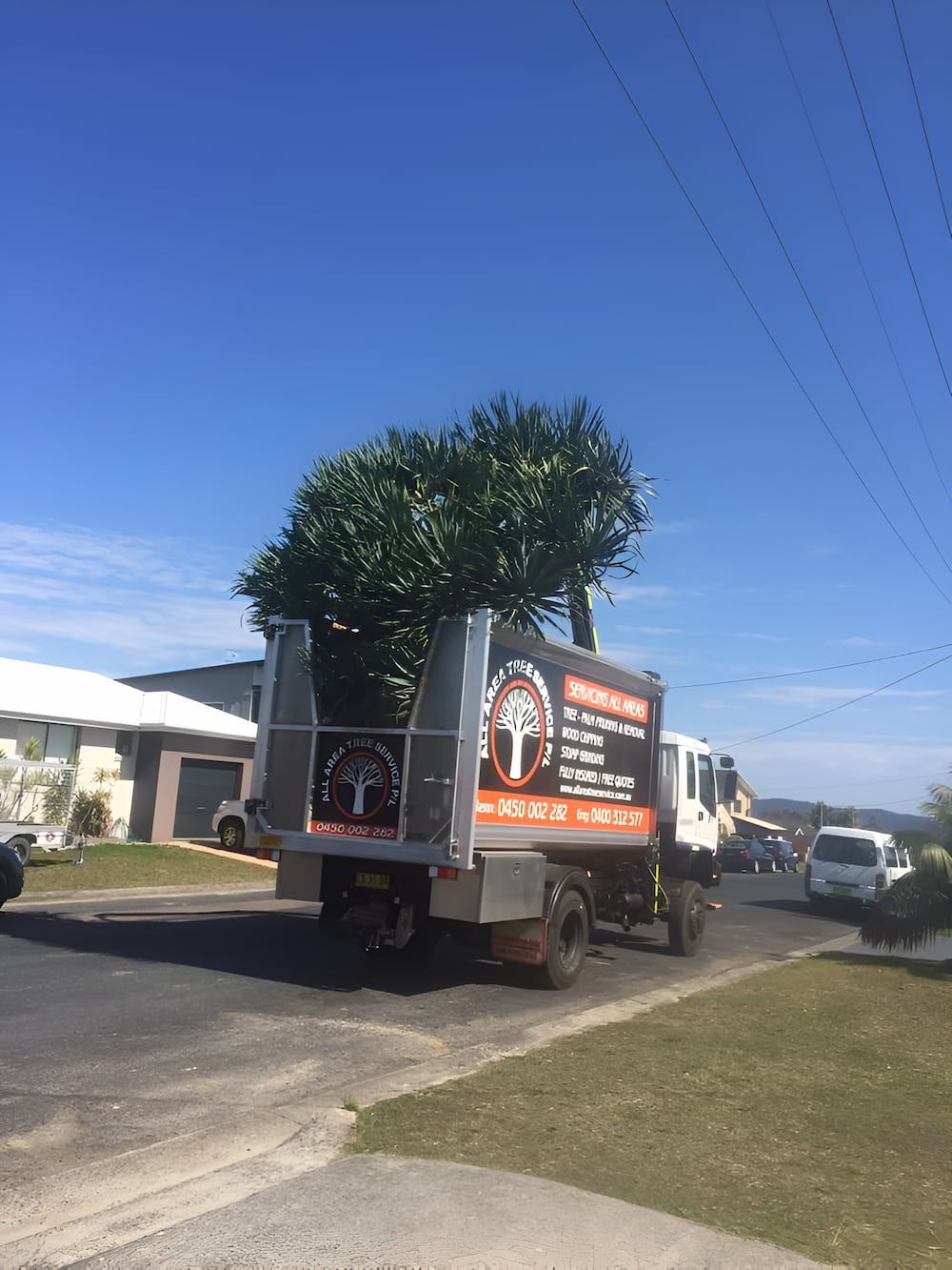 A Truck Is Carrying A Large Tree Down A Street — All Area Tree Service Pty Ltd In Tuggerah, NSW