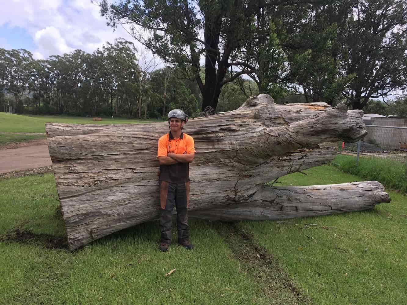 A Man Is Standing Next To A Large Log In A Field — All Area Tree Service Pty Ltd In Hunter Valley, NSW
