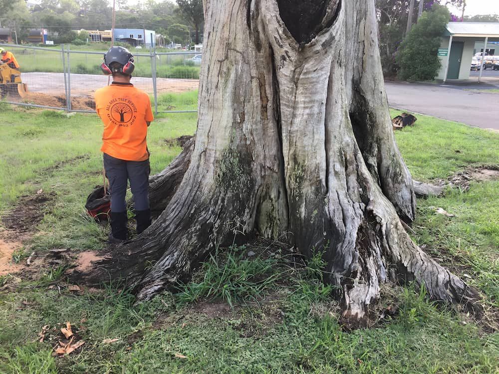 A Man In An Orange Shirt Is Standing Next To A Large Tree — All Area Tree Service Pty Ltd In Wyee, NSW