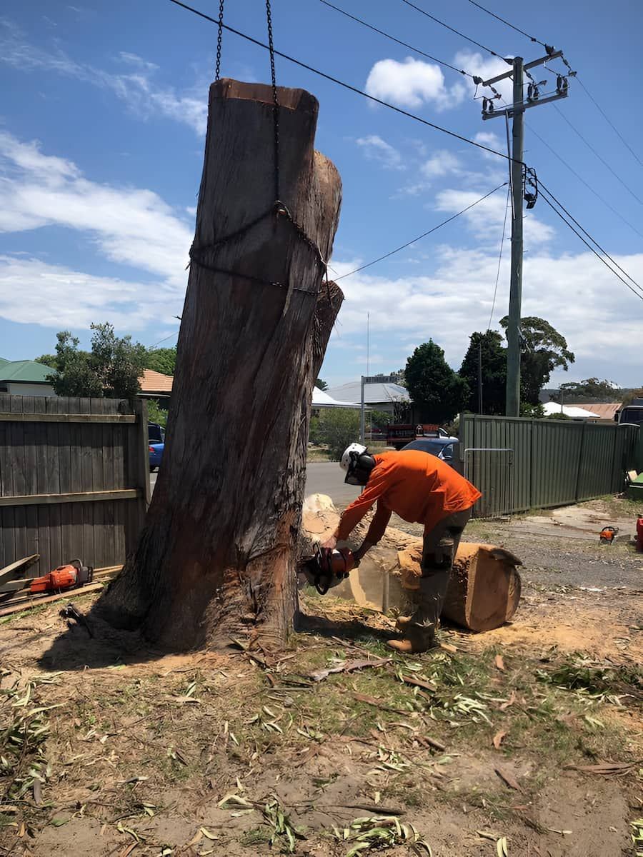 A Man Is Cutting A Tree Stump With A Chainsaw — All Area Tree Service Pty Ltd In Wyong, NSW