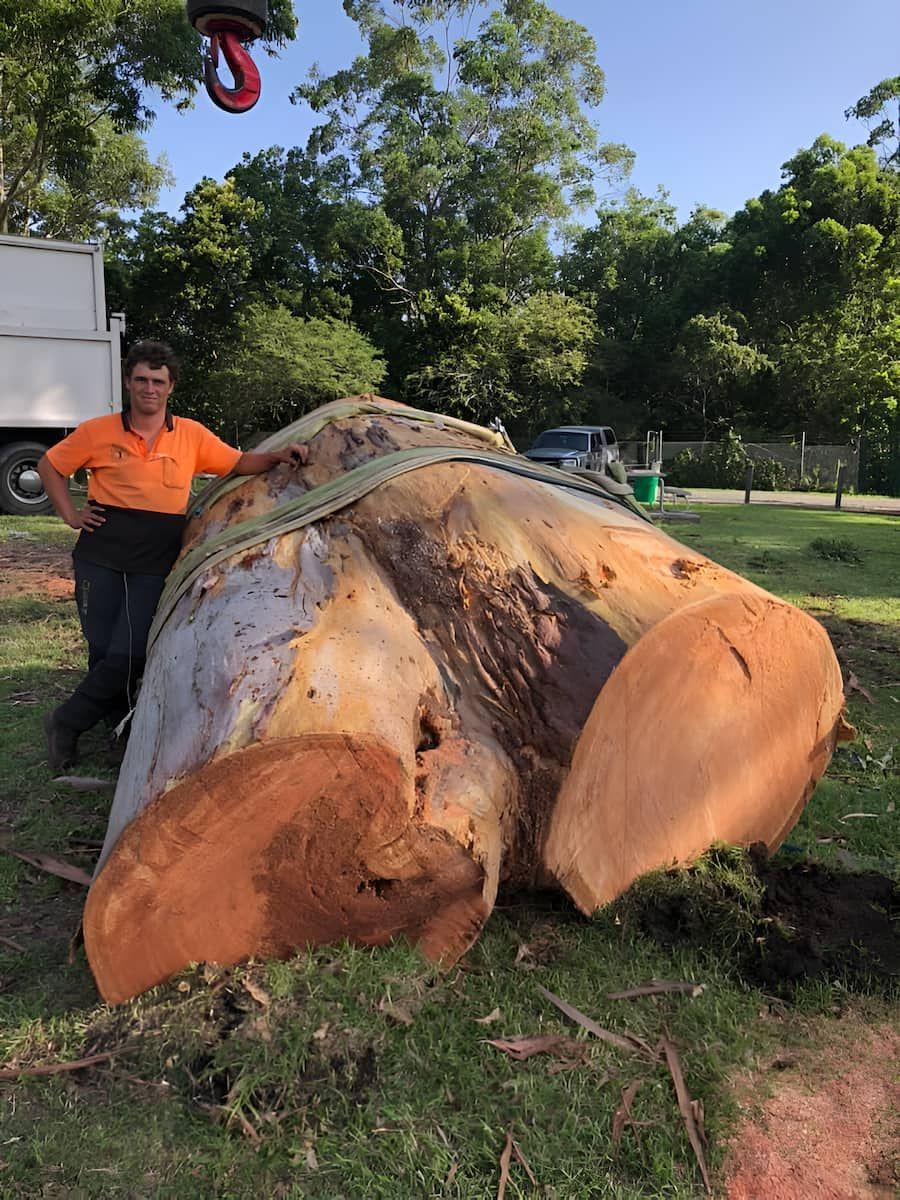 A Man Is Standing Next To A Large Piece Of Wood — All Area Tree Service Pty Ltd In Central Coast, NSW