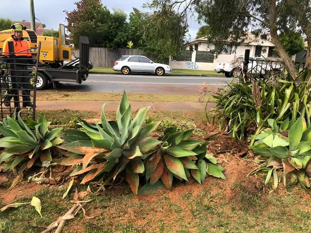 A Man Is Standing Next To A Truck In A Yard — All Area Tree Service Pty Ltd In Wyong, NSW
