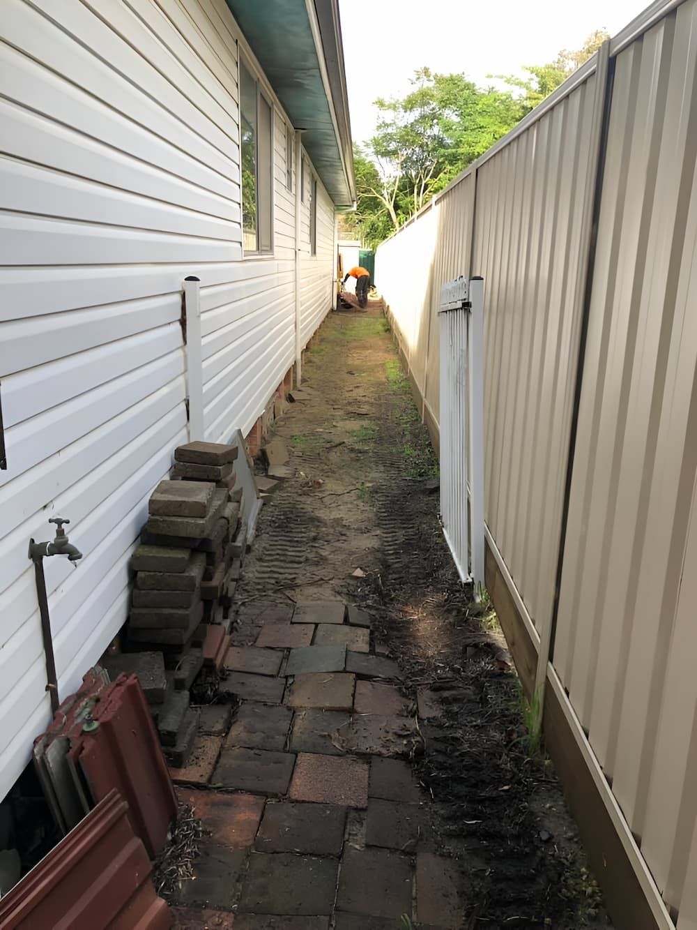 A Narrow Walkway Between A House And A Fence — All Area Tree Service Pty Ltd In Wyong, NSW