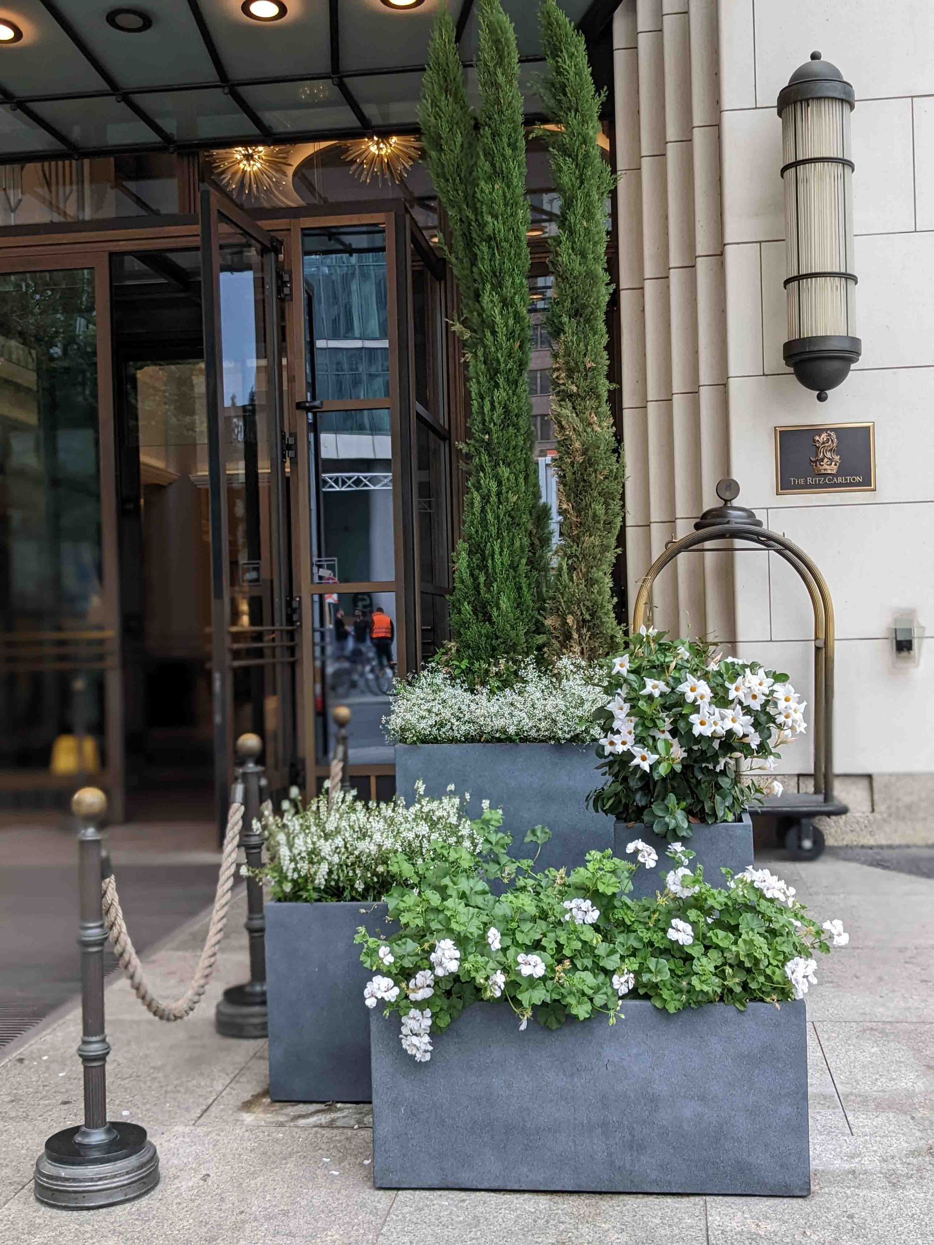 Innenbepflanzung eines Gebäudes in Berlin durch Zinnober Blumen