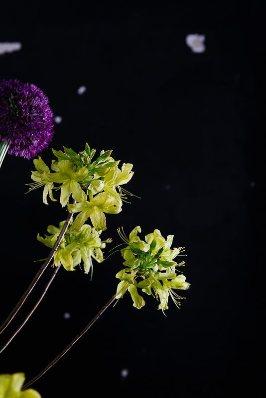 Florale Gestaltung von Zinnober Blumen in Berlin