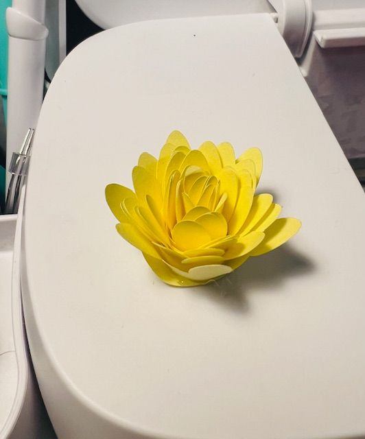 Bloemen set