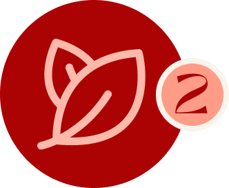 an icon showing a leaf and the number 2