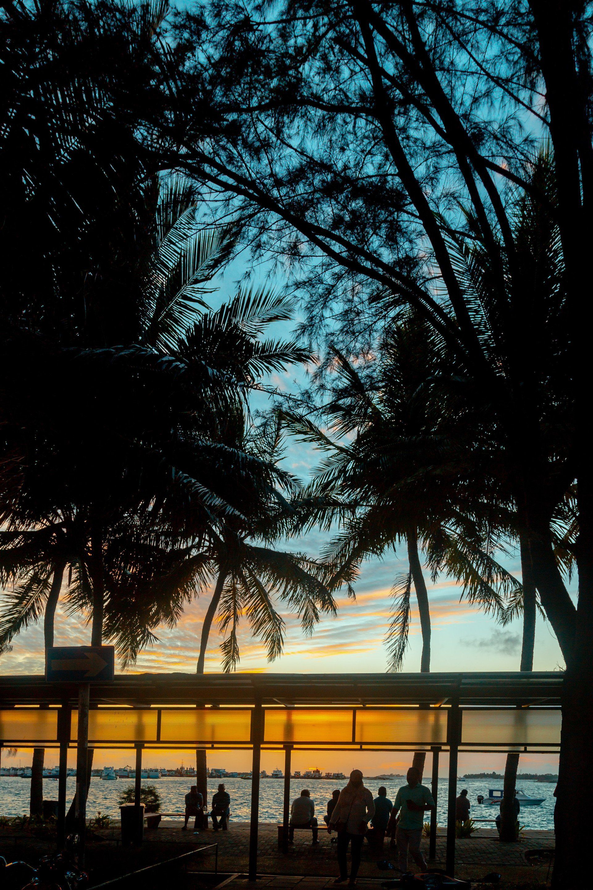 Oasis Getaway