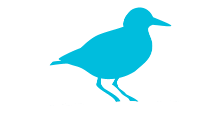 Blue silhouette of a bird standing, facing right.