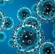 Blue, spherical virus particles with spike proteins.
