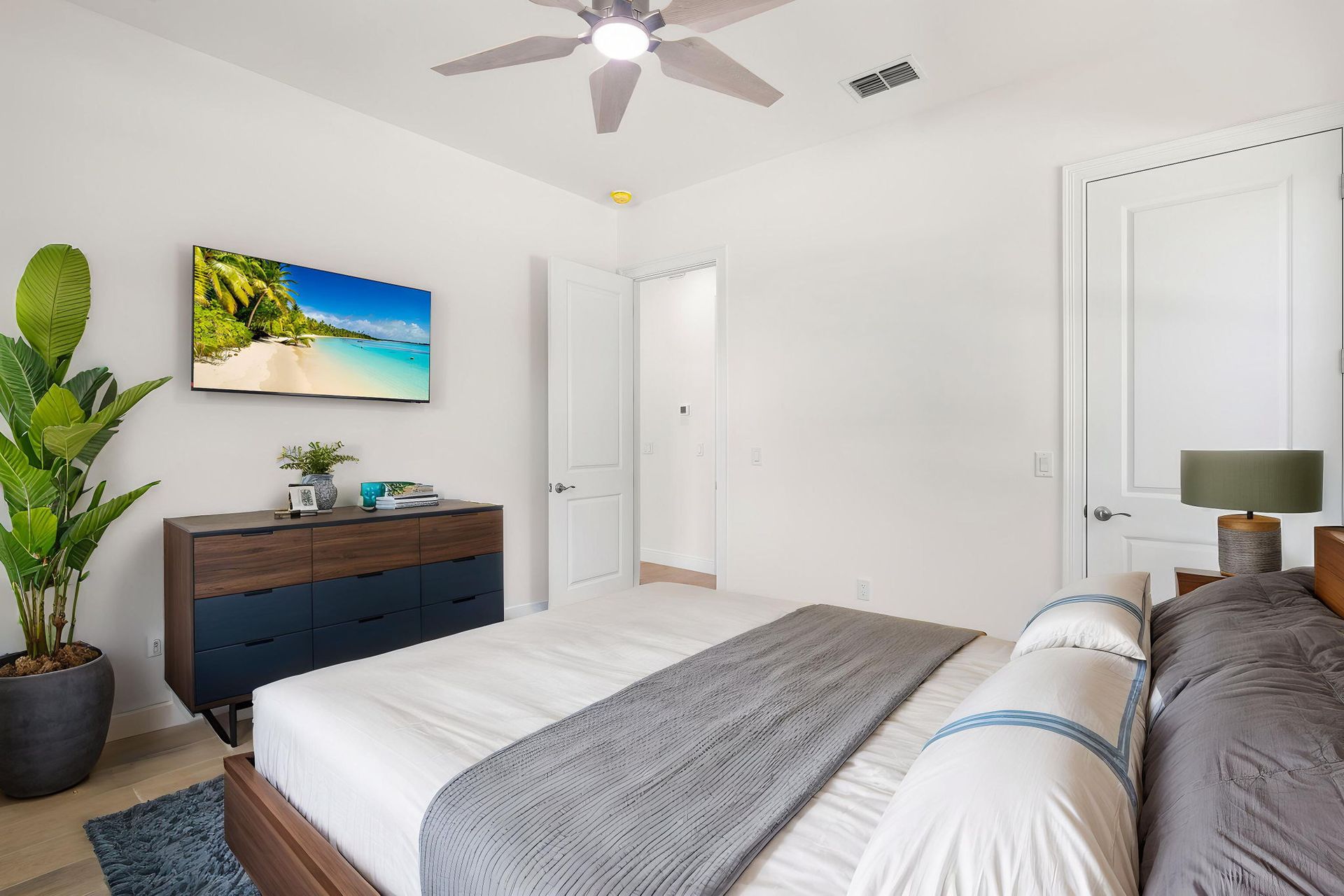Bedroom with a bed, dresser, TV, large plant, and open doorway; white walls and ceiling.