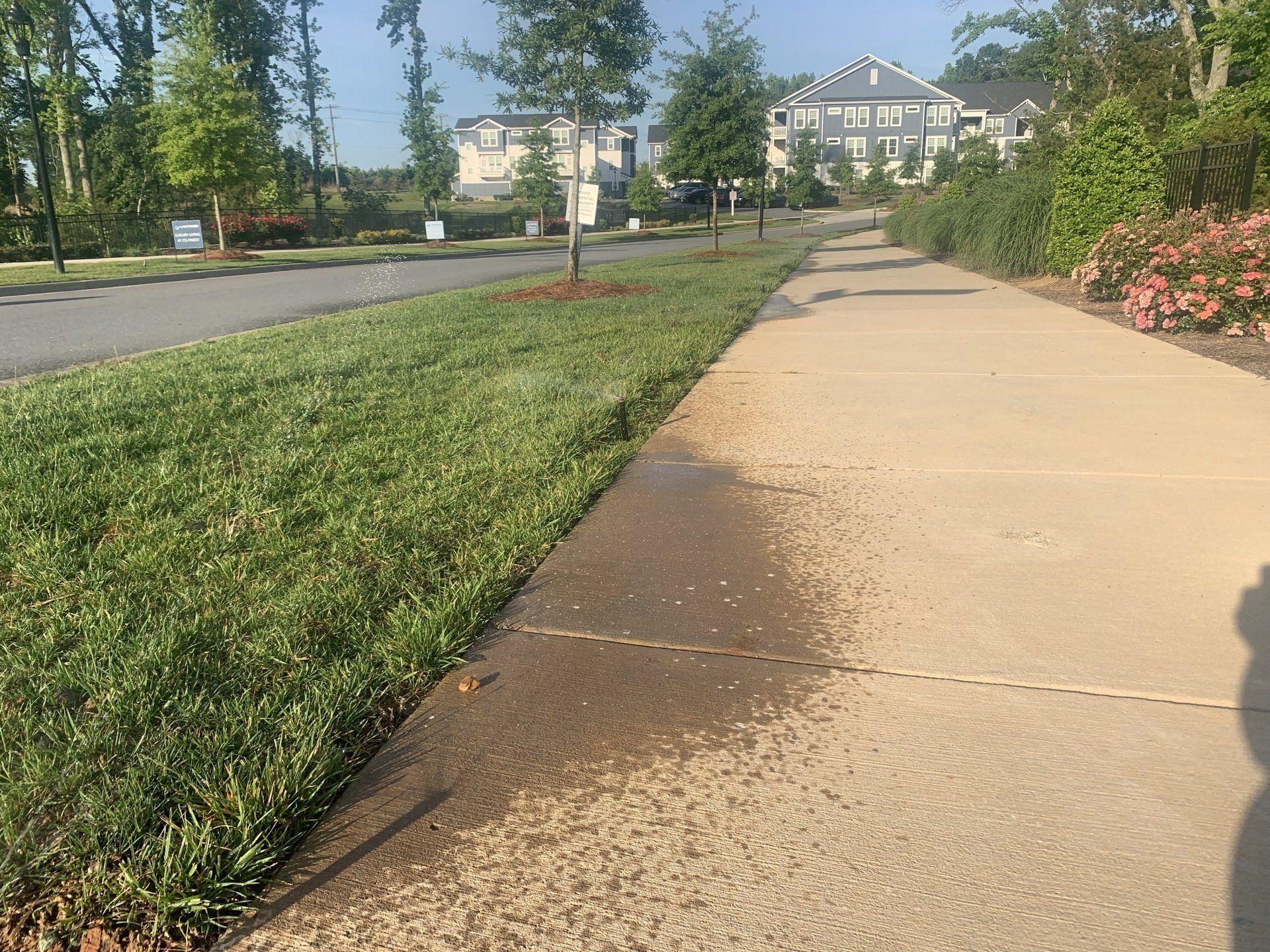Sprinklers spraying
