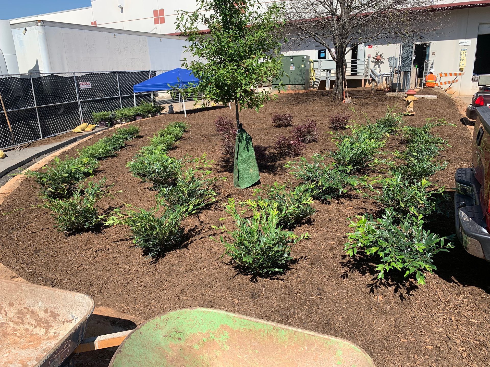 new plants installed