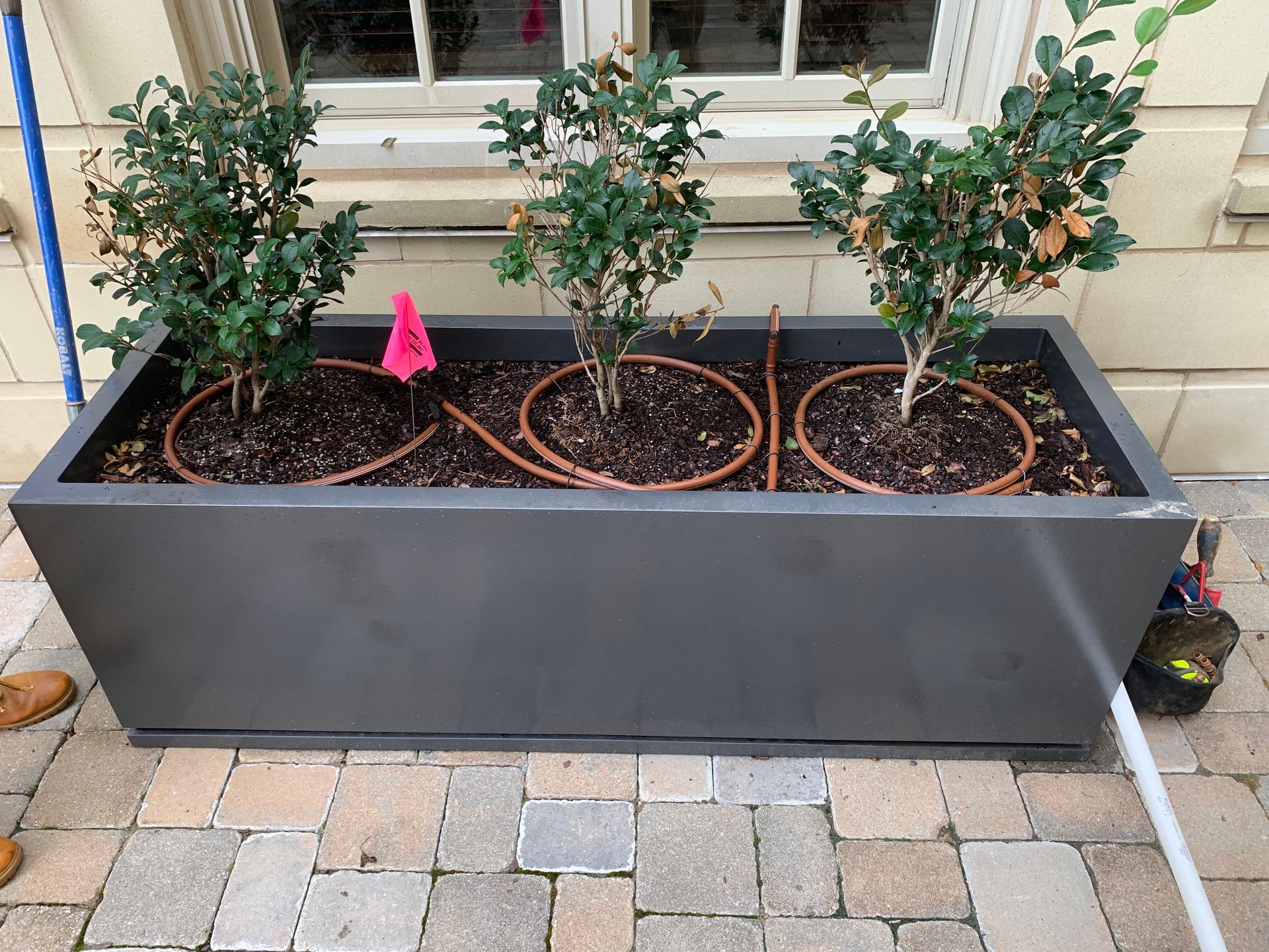Drip line installation