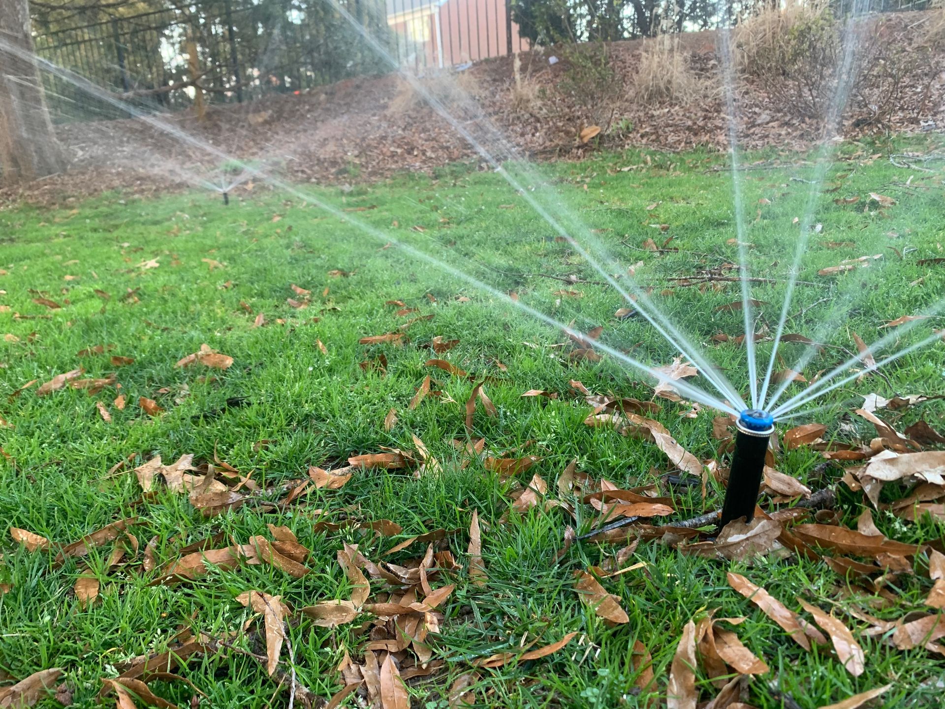 Sprinklers spraying