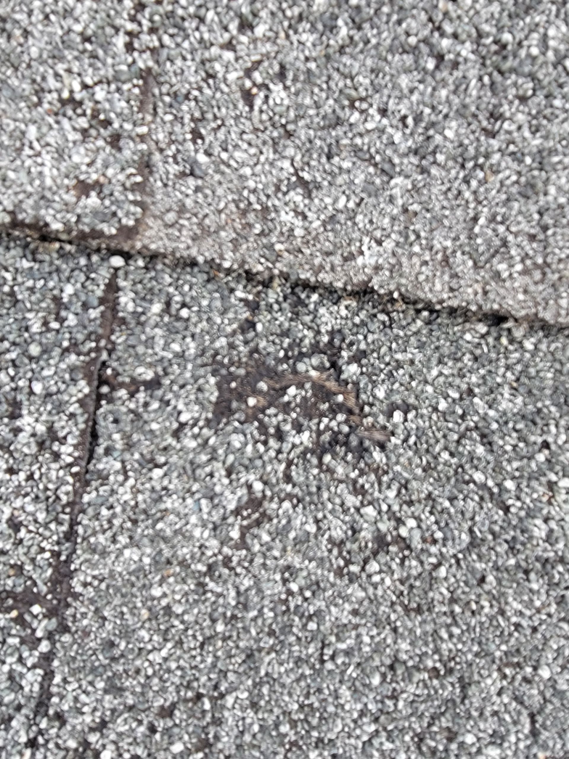 roof hail damage in Edgerton, WI - free roof inspections by Riverland Exteriors