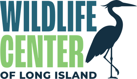 Wildlife Center of Long Island logo