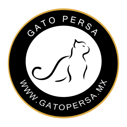 gatos persa en venta