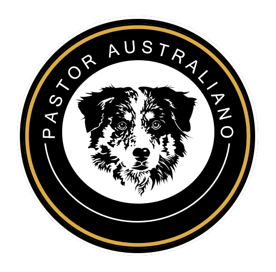 pastor australiano en venta logo