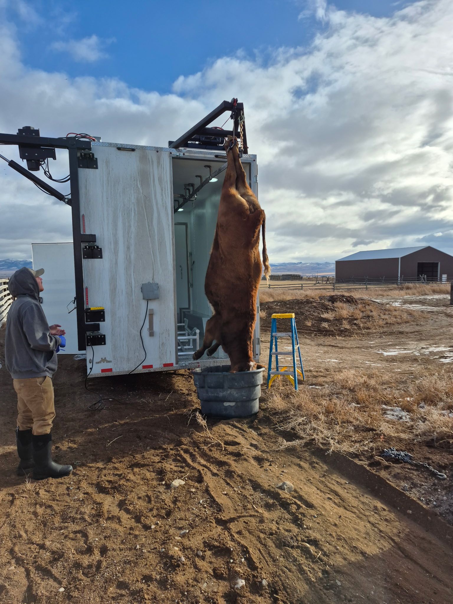 Person stands beside a hanging animal carcass near a truck in a muddy rural field.