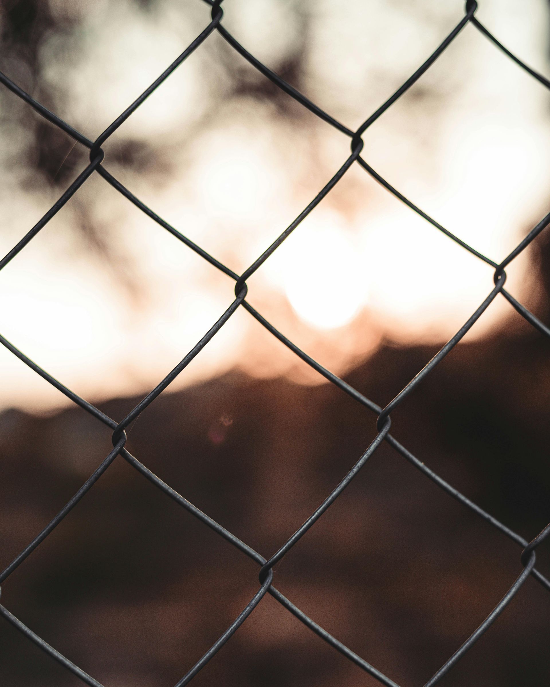 A man is standing in front of a wooden fence in a backyard.