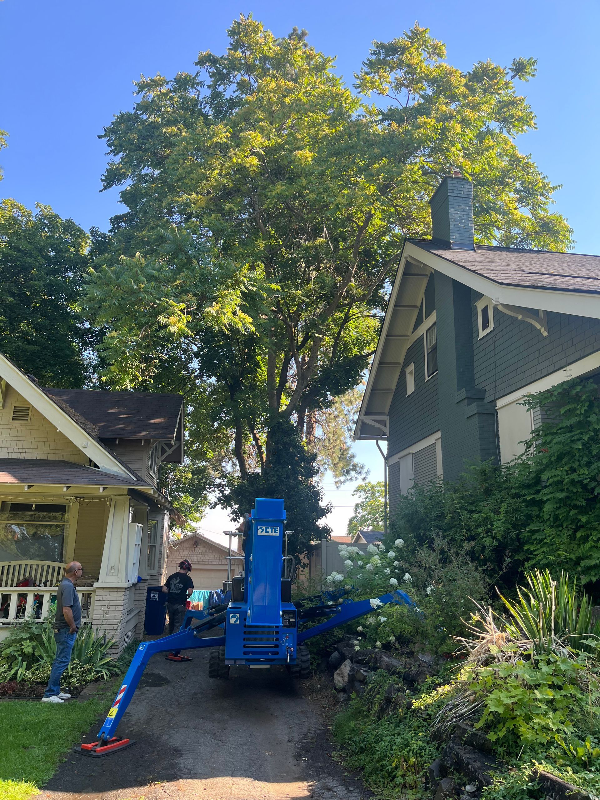 aerial lifts for tree care companies