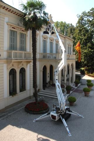 Cherry picker trimming a palm tree in front of a white building with ornate architectural details.