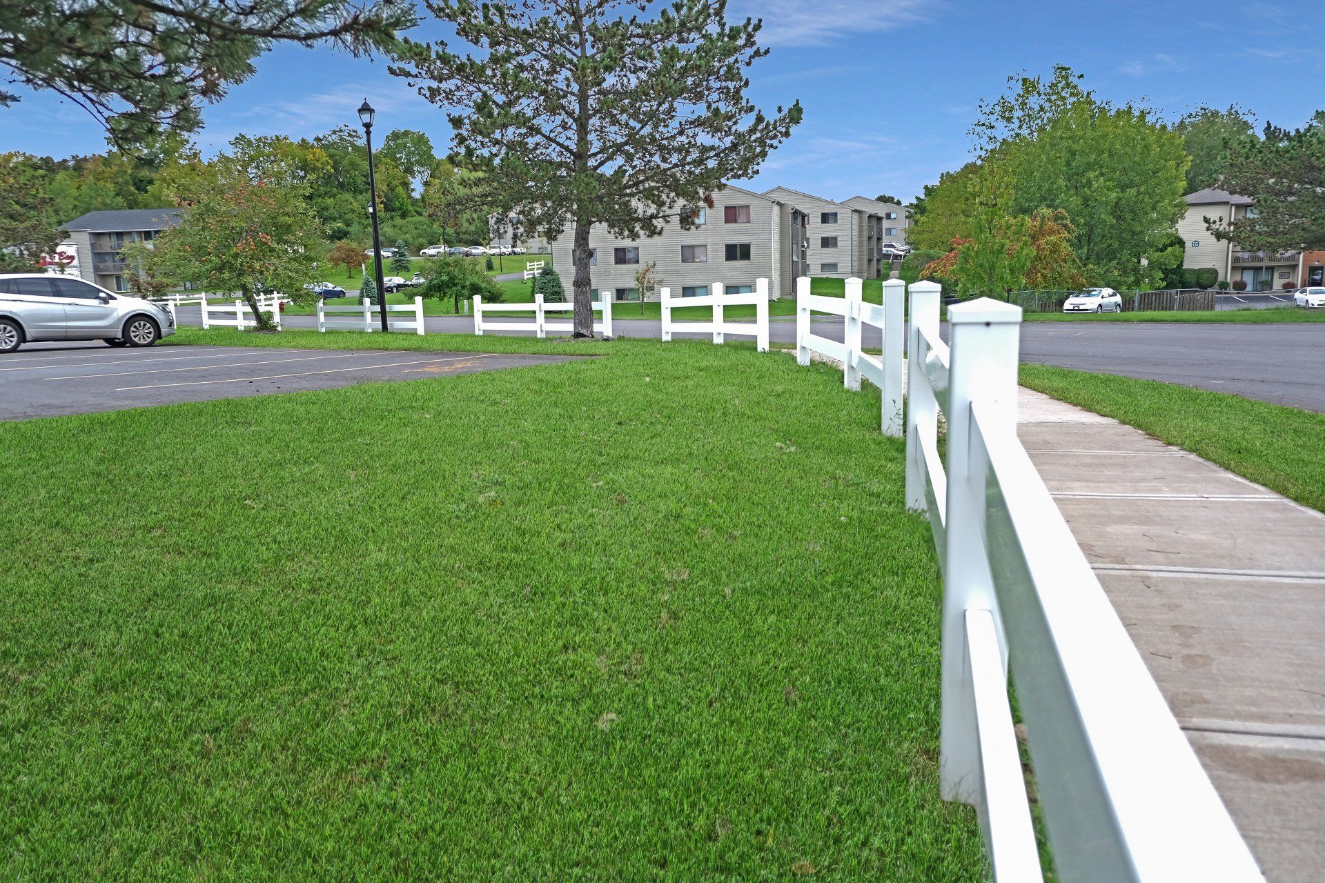green lawn