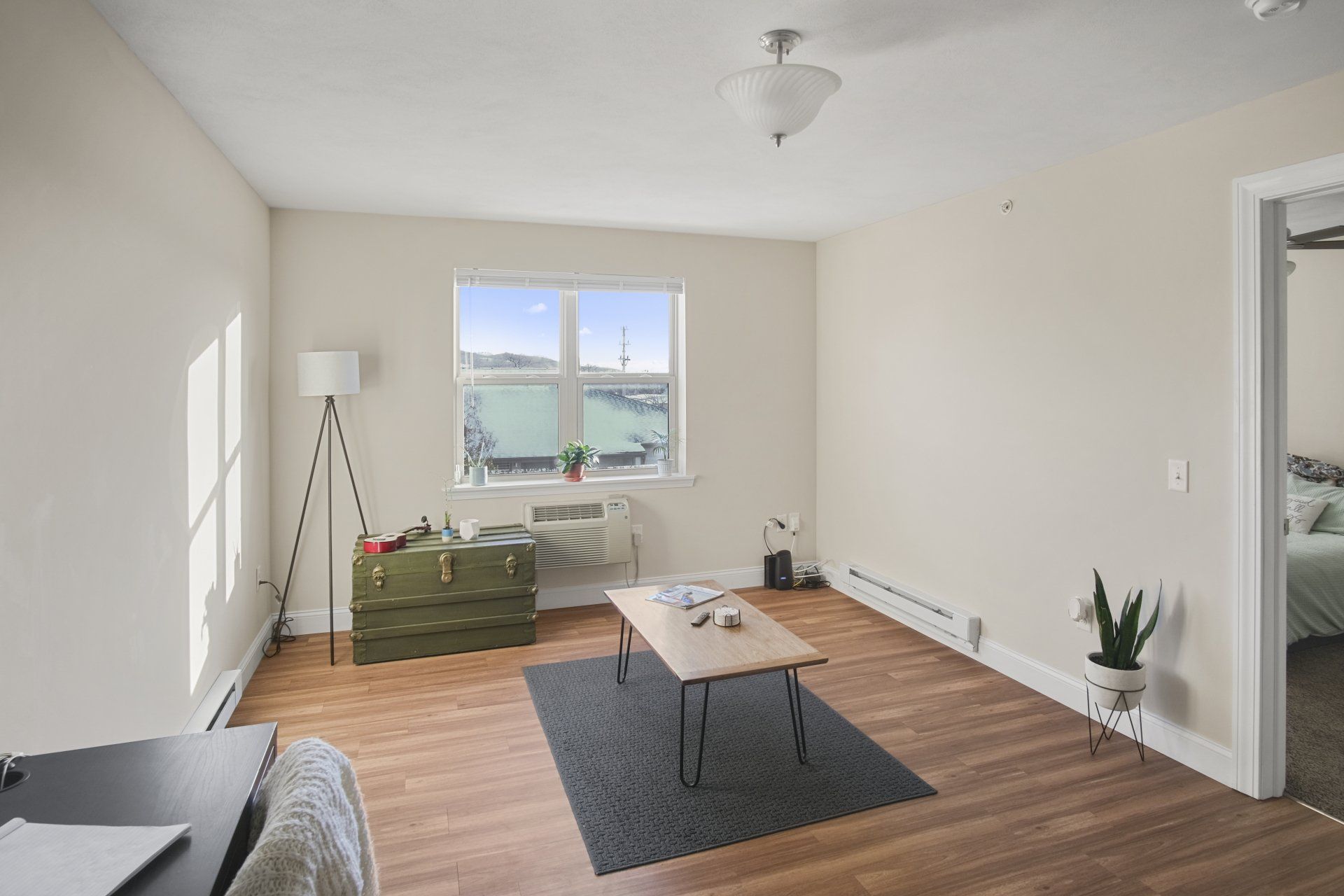 Furnished living room