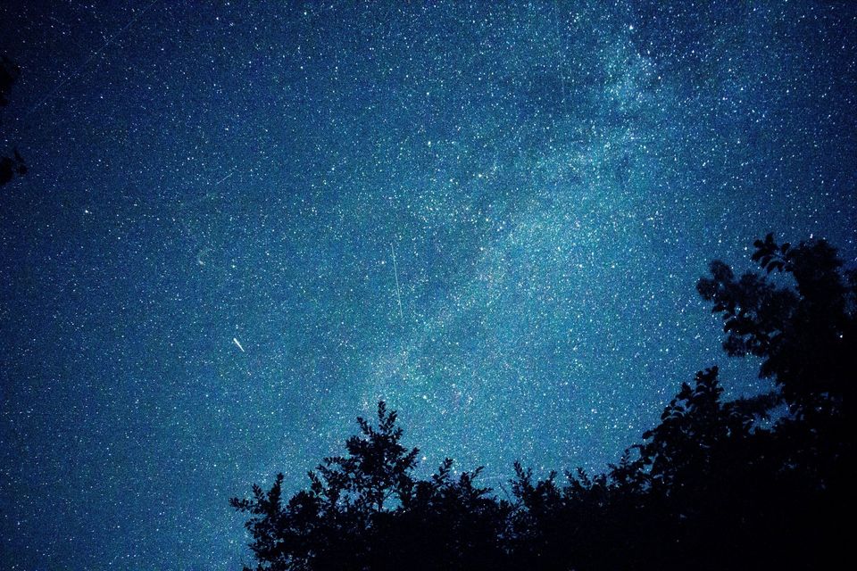 Summer Book Study Under the Stars
