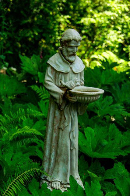Reflection on
St. Francis &
Blessing of Pets