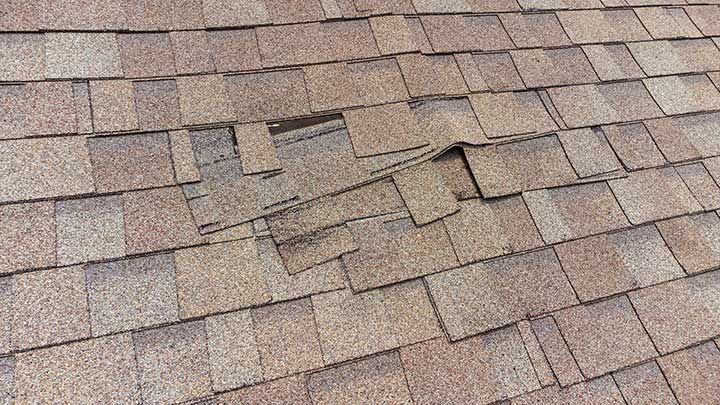 damaged roof shingles in need of repair