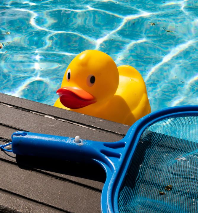 Yellow rubber duck floating by a pool deck with a blue net, against rippling blue water