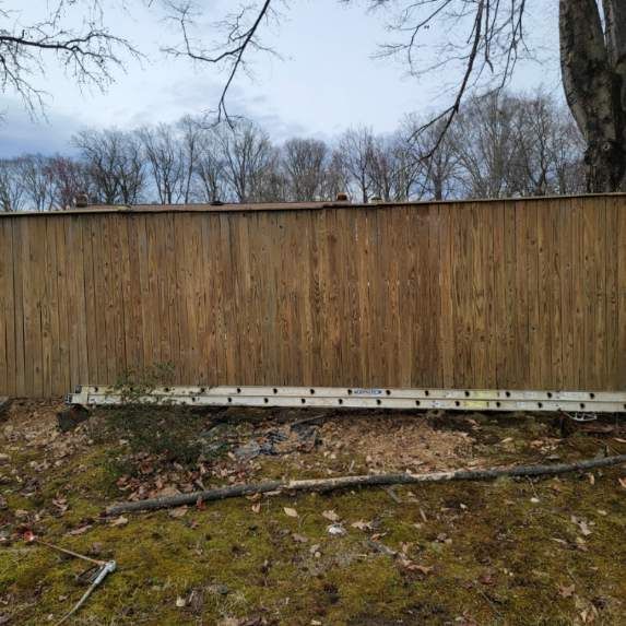 A ladder lies along the base of a wooden fence in a leaf-strewn yard.