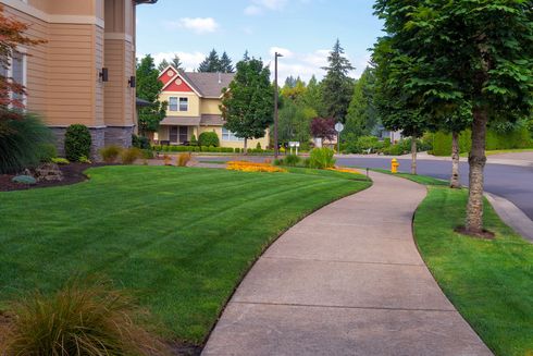 Curved sidewalk beside a green lawn and landscaped homes in a quiet residential neighborhood