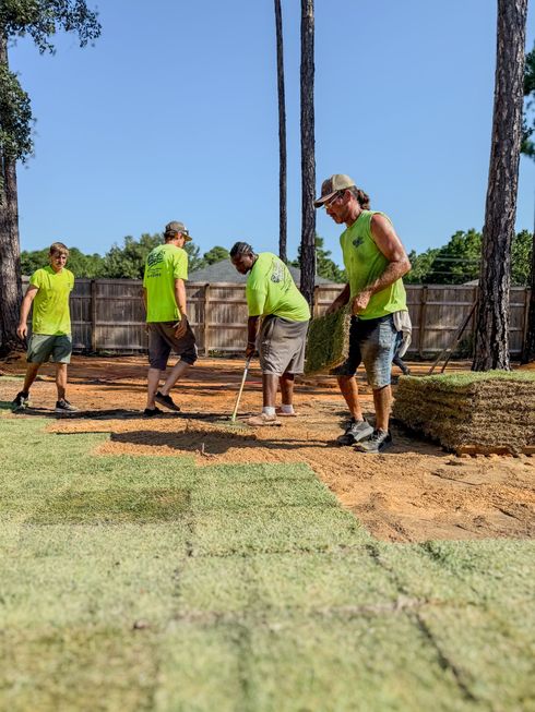 Worker installing rolled turf in a sunny garden yard