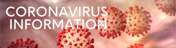 A picture of a virus with the words `` coronavirus information '' written on it.
