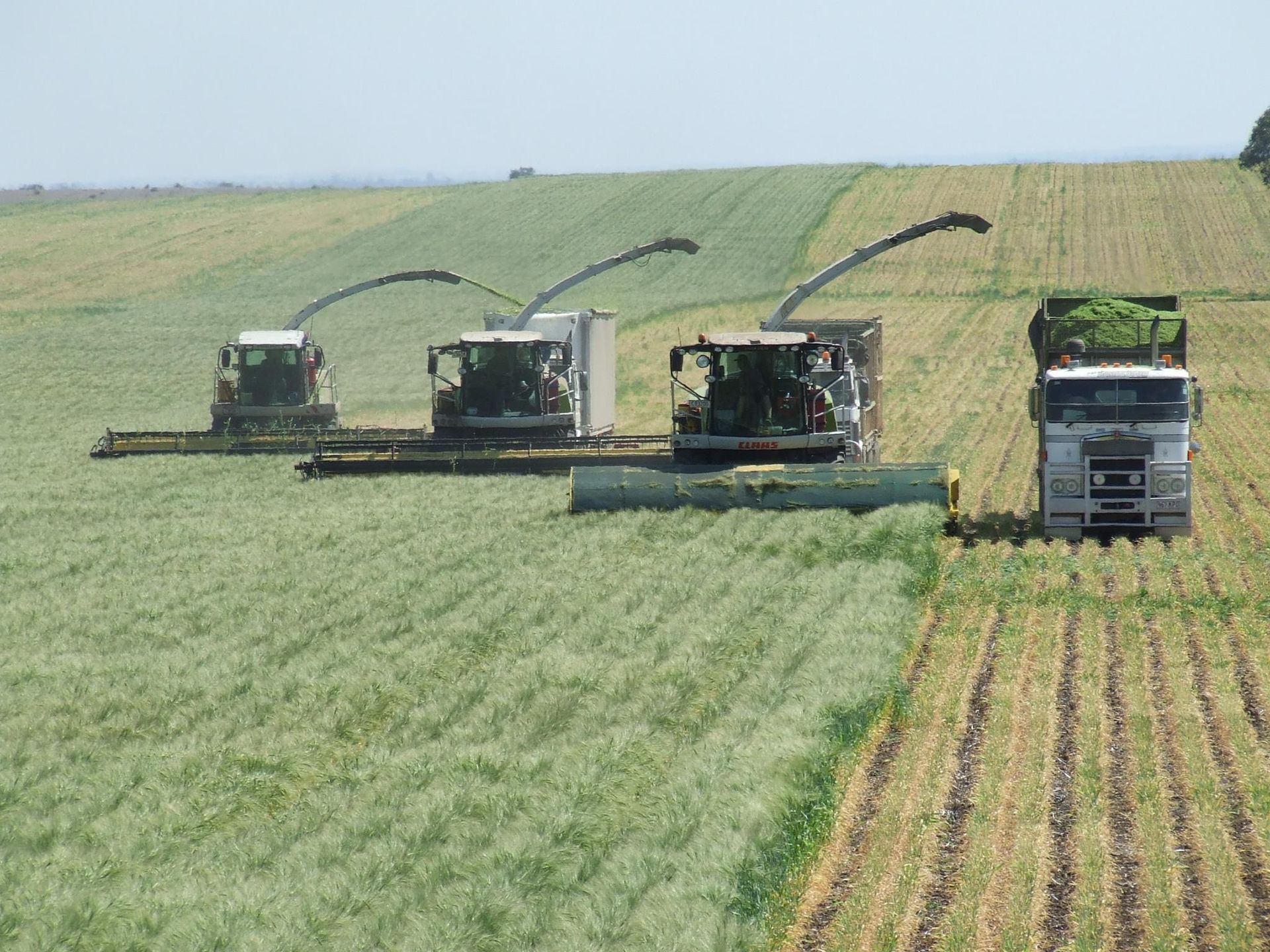 Siling Farm About Priebbenow Silage