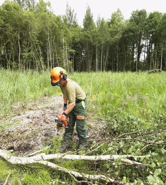 SITE CLEARANCE