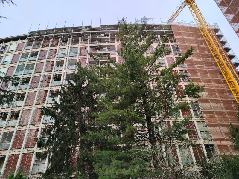 Grattacielo in costruzione con gru e alberi di fronte