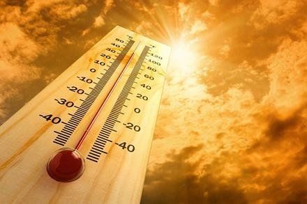רשת הצללה דקורטיבית | כיסויים לכל