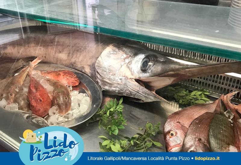 Pesce fresco esposto sul ghiaccio in una vetrina da mercato del pesce, con guarnizione di prezzemolo e logo Lido Pizza.