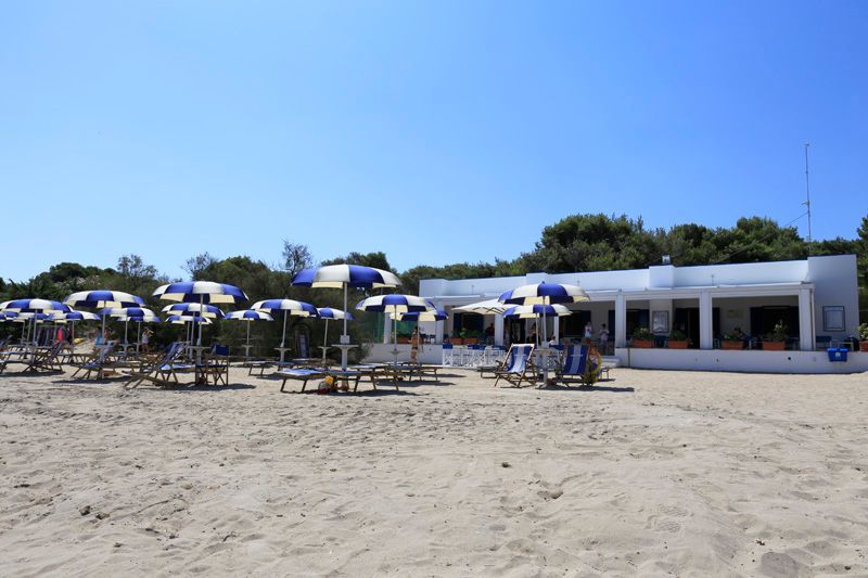 Scena di spiaggia con ombrelloni blu e bianchi, sdraio e un edificio bianco sul lungomare sotto un cielo limpido.